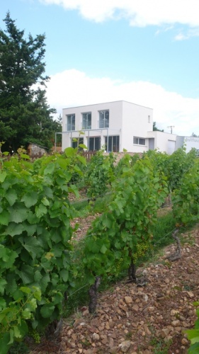 Maison dans les vignes : ch3.JPG