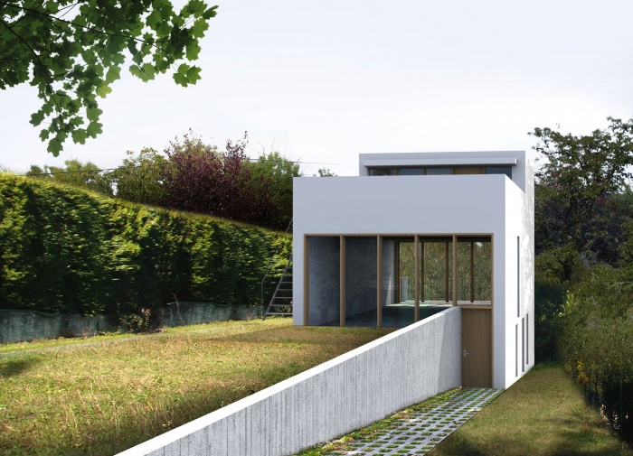 Maison avec toit jardin : sg2